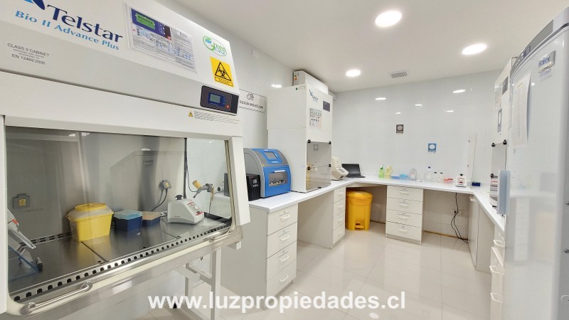 Maximiliano Uribe N&Acirc;&deg;1034, planta baja, Portal del Mar - Luz Propiedades