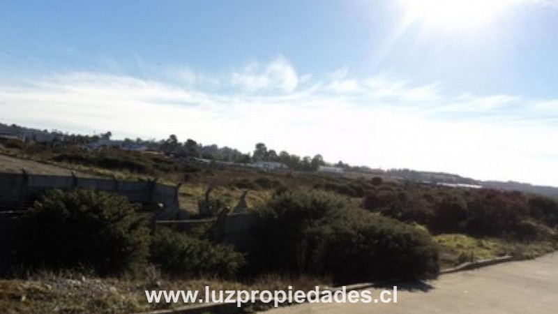 Centro Empresarial Husamontt. Camino al Aeropuerto. - Luz Propiedades