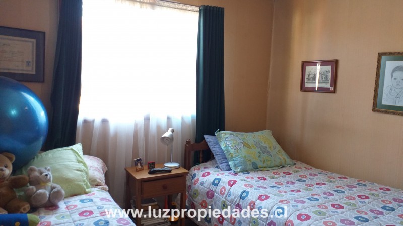 Antihual N&Acirc;&ordm;207 - Luz Propiedades