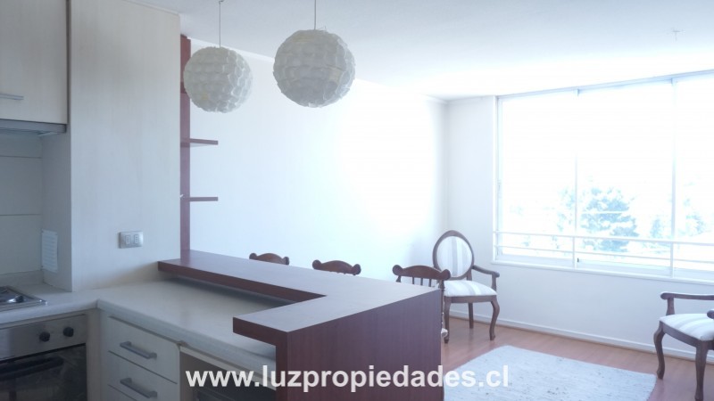 San Felipe N&Acirc;&ordm;183, Ed. Plaza Vista, Depto. N&Acirc;&ordm;1403 - Luz Propiedades