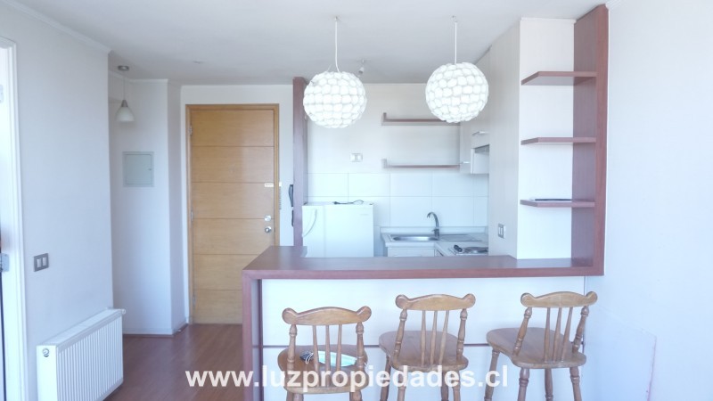 San Felipe N&Acirc;&ordm;183, Ed. Plaza Vista, Depto. N&Acirc;&ordm;1403 - Luz Propiedades