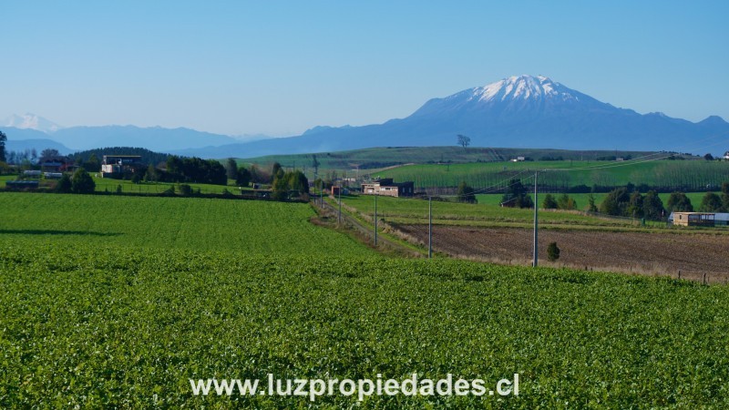 L&Atilde;&shy;nea Nueva, Parcelaci&Atilde;&sup3;n Los Laureles del Maull&Atilde;&shy;n, Parcela B9 - Luz Propiedades