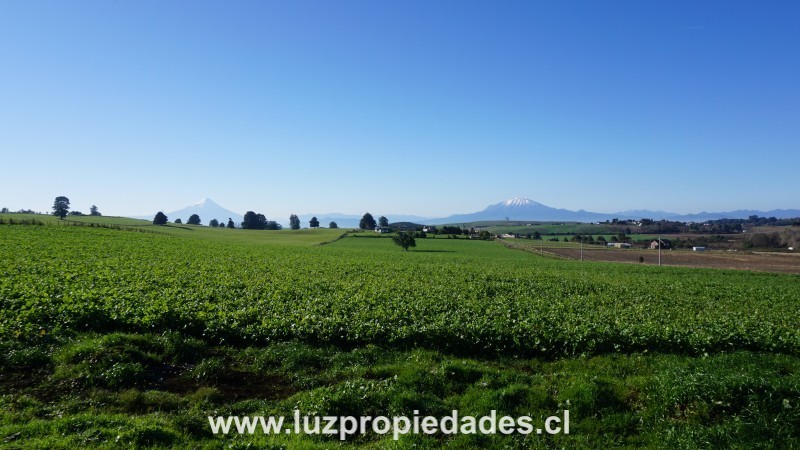 L&Atilde;&shy;nea Nueva, Parcelaci&Atilde;&sup3;n Los Laureles del Maull&Atilde;&shy;n, Parcela B9 - Luz Propiedades