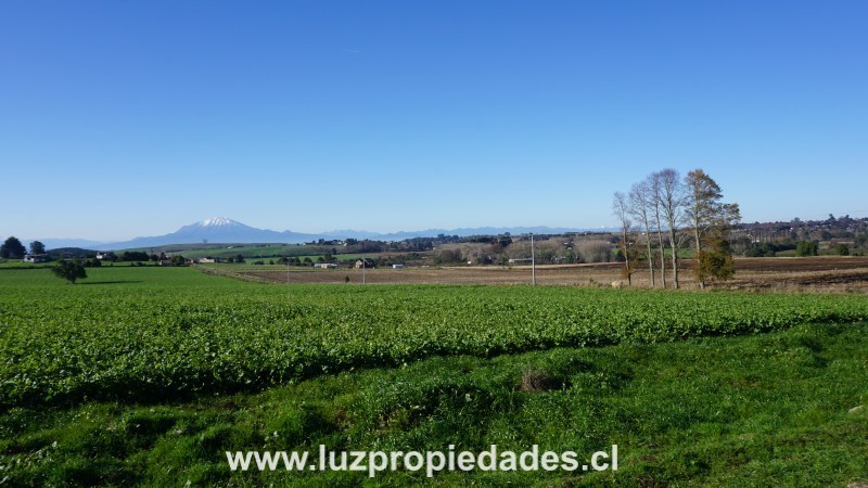 L&Atilde;&shy;nea Nueva, Parcelaci&Atilde;&sup3;n Los Laureles del Maull&Atilde;&shy;n, Parcela B9 - Luz Propiedades