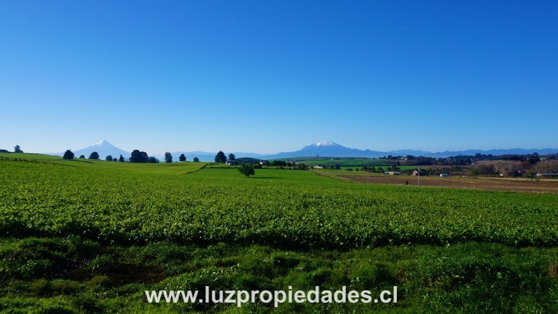 L&Atilde;&shy;nea Nueva, Parcelaci&Atilde;&sup3;n Los Laureles del Maull&Atilde;&shy;n, Parcela B9 - Luz Propiedades