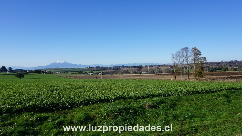 L&Atilde;&shy;nea Nueva, Parcelaci&Atilde;&sup3;n Los Laureles del Maull&Atilde;&shy;n - Luz Propiedades