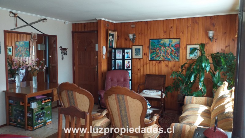 Antihual N&Acirc;&ordm;207 - Luz Propiedades