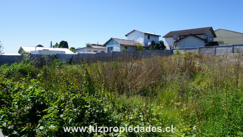 Calle Oberreuter  N&Acirc;&deg; 142 - Luz Propiedades