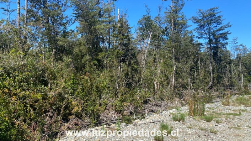 Camino al Tepual Km 9,4 Interior, Eco Parque Alto las Lomas - Luz Propiedades