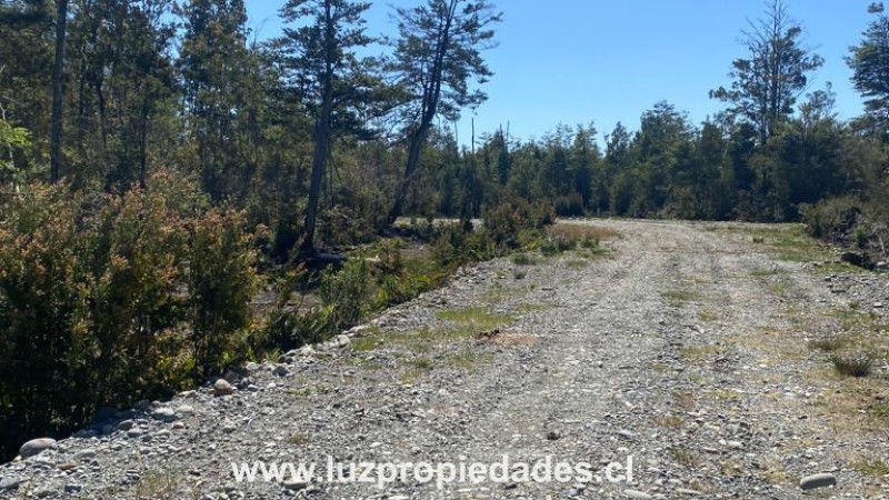 Camino al Tepual Km 9,4 Interior, Eco Parque Alto las Lomas - Luz Propiedades