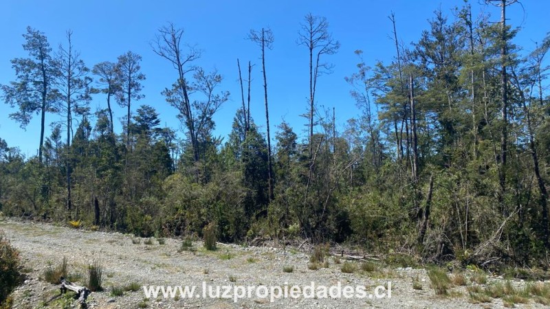 Camino al Tepual Km 9,4 Interior, Eco Parque Alto las Lomas - Luz Propiedades