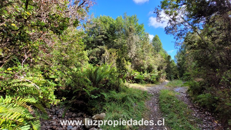 Camino Calbuco, sector El Tamboil - Luz Propiedades
