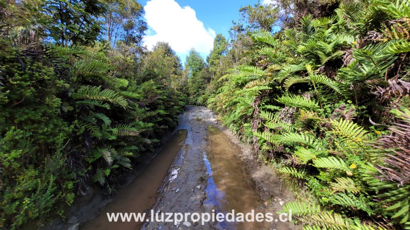 Camino Calbuco, sector El Tamboil - Luz Propiedades