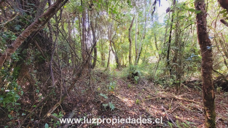 Club de Campo Residencial, lote 3, Parcela 166, Puerto Varas - Luz Propiedades