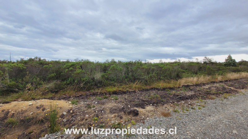 Fundo los Coihues, Lote 18, Chaqueihua - Luz Propiedades