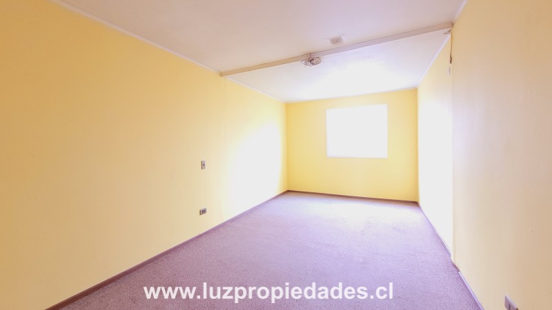 Horacio Echegoyen N&Acirc;&deg;1944, Artesanos de Alerce II - Luz Propiedades