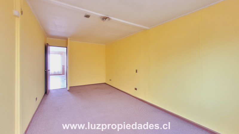 Horacio Echegoyen N&Acirc;&deg;1944, Artesanos de Alerce II - Luz Propiedades