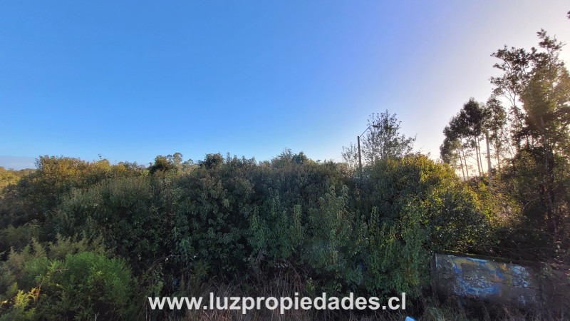 La Goleta Lote A y B, Chinquihue Alto - Luz Propiedades