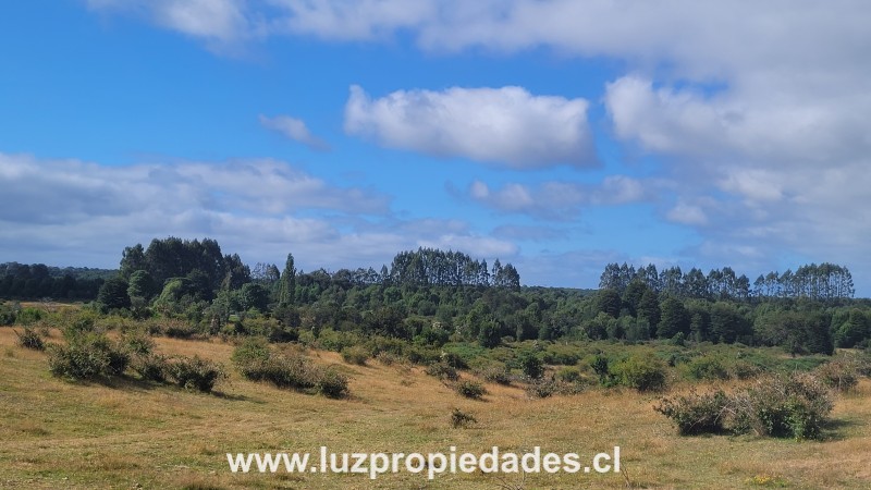 Las Canchas Km 7 - Luz Propiedades