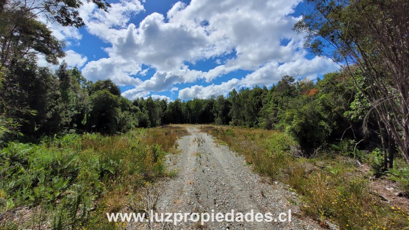 Lomas de Monte Verde, Parcela N&Acirc;&deg;76, Salto chico camino a Pargua - Luz Propiedades