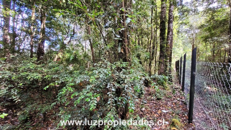 Lomas de Monte Verde, Parcela N&Acirc;&deg;76, Salto chico camino a Pargua - Luz Propiedades