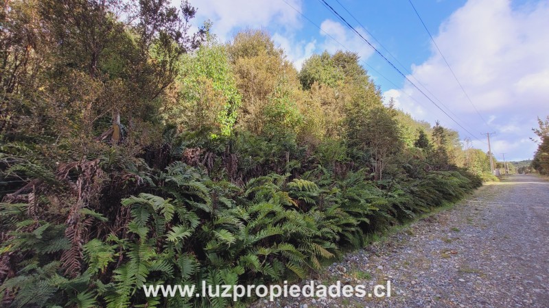 Lote N&Acirc;&deg;26, La Vara - Luz Propiedades