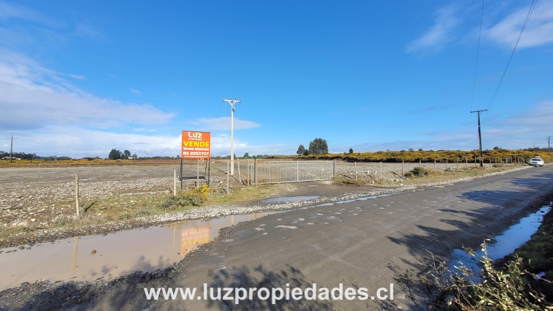Lotes de Hijuelas, sector Las Canchas - Luz Propiedades