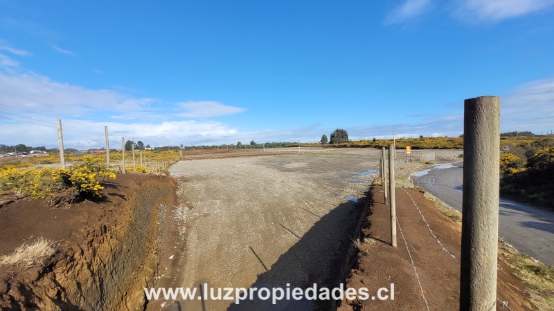 Lotes de Hijuelas, sector Las Canchas - Luz Propiedades