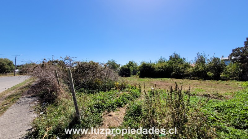 Pablo Neruda N&Acirc;&deg;6, Manzana N&Acirc;&deg;17,  Alerce Hist&Atilde;&sup3;rico - Luz Propiedades