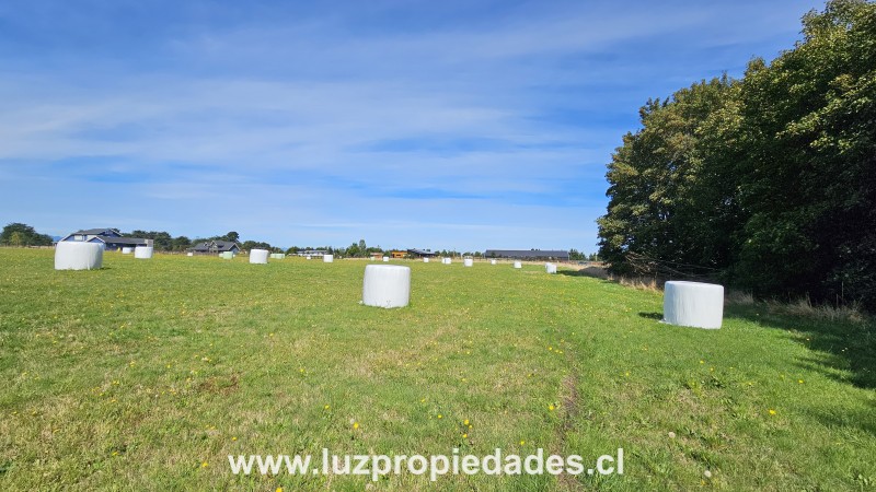 Parcelaci&Atilde;&sup3;n Lomas del Sur , P- 20, Puerto Varas - Luz Propiedades