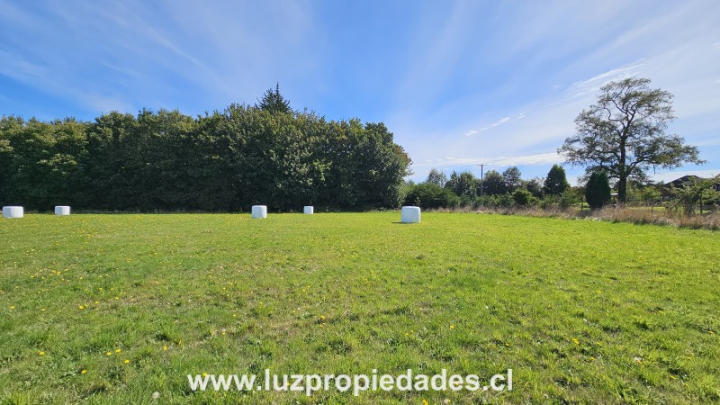 Parcelaci&Atilde;&sup3;n Lomas del Sur , P- 20, Puerto Varas - Luz Propiedades