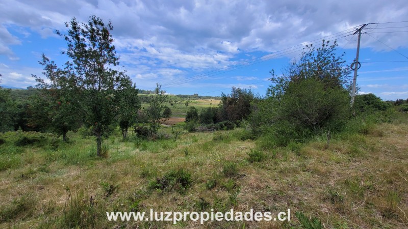 Prolongaci&Atilde;&sup3;n Sargento Silva, Loteo los Ulmos,  P-46 - Luz Propiedades