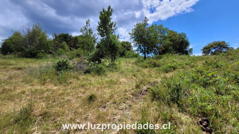 Prolongaci&Atilde;&sup3;n Sargento Silva, Loteo los Ulmos,  P-46 - Luz Propiedades