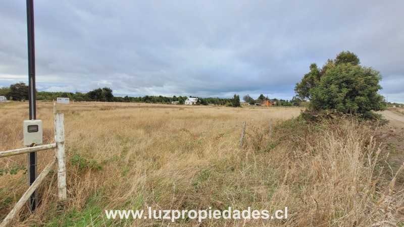 Rododendros S/N, Fundo Frutillar, Parcela N&Acirc;&deg;134, Frutillar - Luz Propiedades