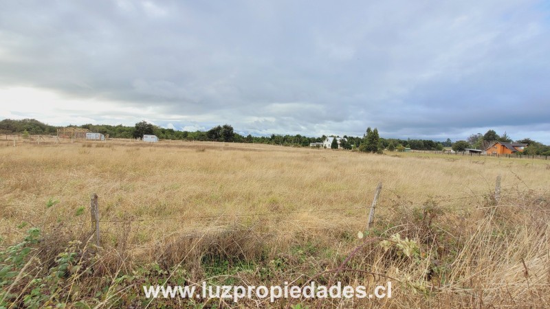 Rododendros S/N, Fundo Frutillar, Parcela N&Acirc;&deg;134, Frutillar - Luz Propiedades