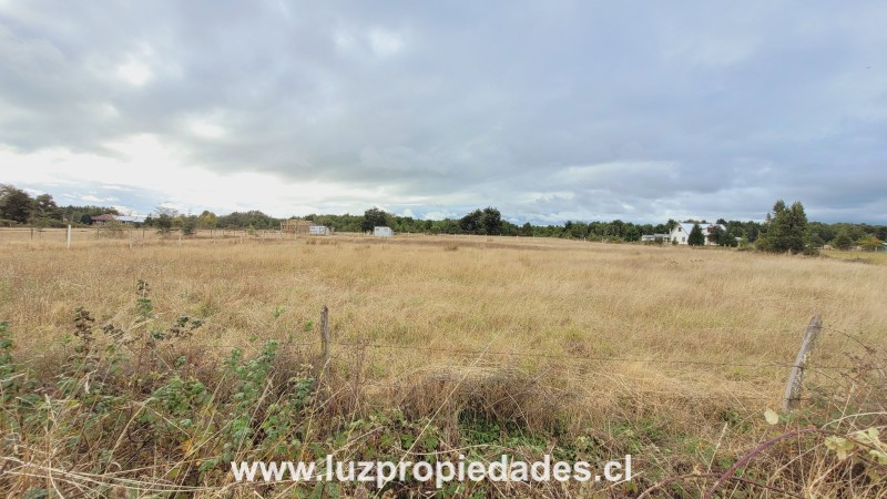 Rododendros S/N, Fundo Frutillar, Parcela N&Acirc;&deg;134, Frutillar - Luz Propiedades