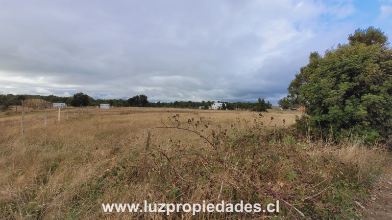 Rododendros S/N, Fundo Frutillar, Parcela N&Acirc;&deg;134, Frutillar - Luz Propiedades