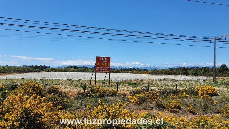 Ruta 5 sur, sector Sangra - Luz Propiedades