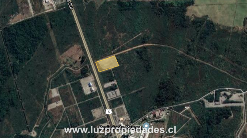 Ruta 5 sur, sector Sangra - Luz Propiedades