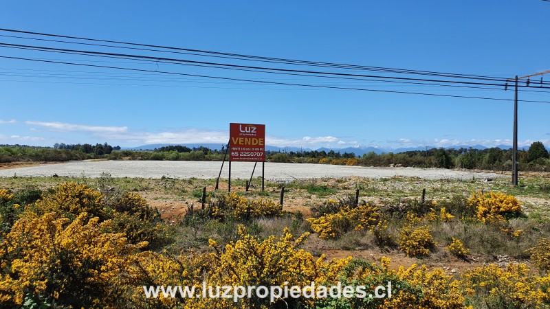 Ruta 5 sur, sector Sangra - Luz Propiedades