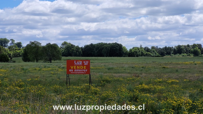 Sector las Quemas Lote N&Acirc;&deg;168 - Luz Propiedades