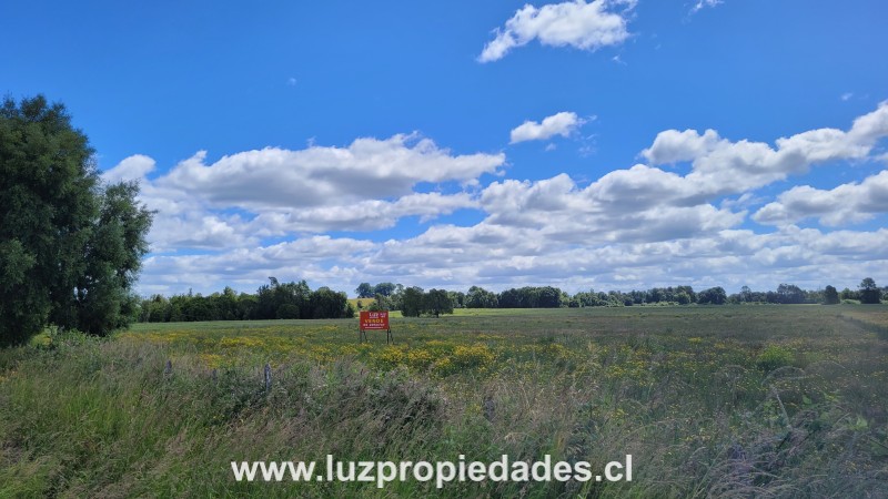 Sector las Quemas Lote N&Acirc;&deg;168 - Luz Propiedades