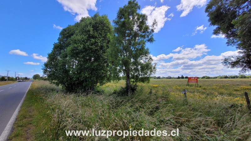 Sector las Quemas Lote N&Acirc;&deg;168 - Luz Propiedades