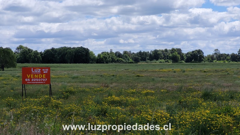 Sector las Quemas Lote N&Acirc;&deg;169 - Luz Propiedades