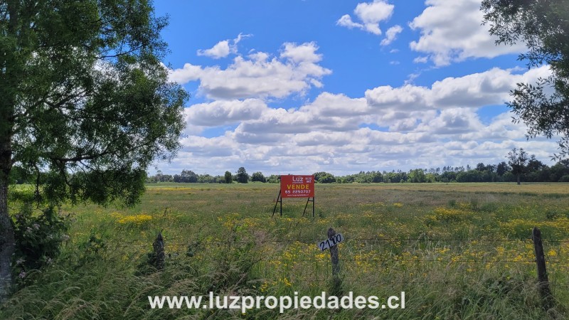 Sector las Quemas Lote N&Acirc;&deg;169 - Luz Propiedades